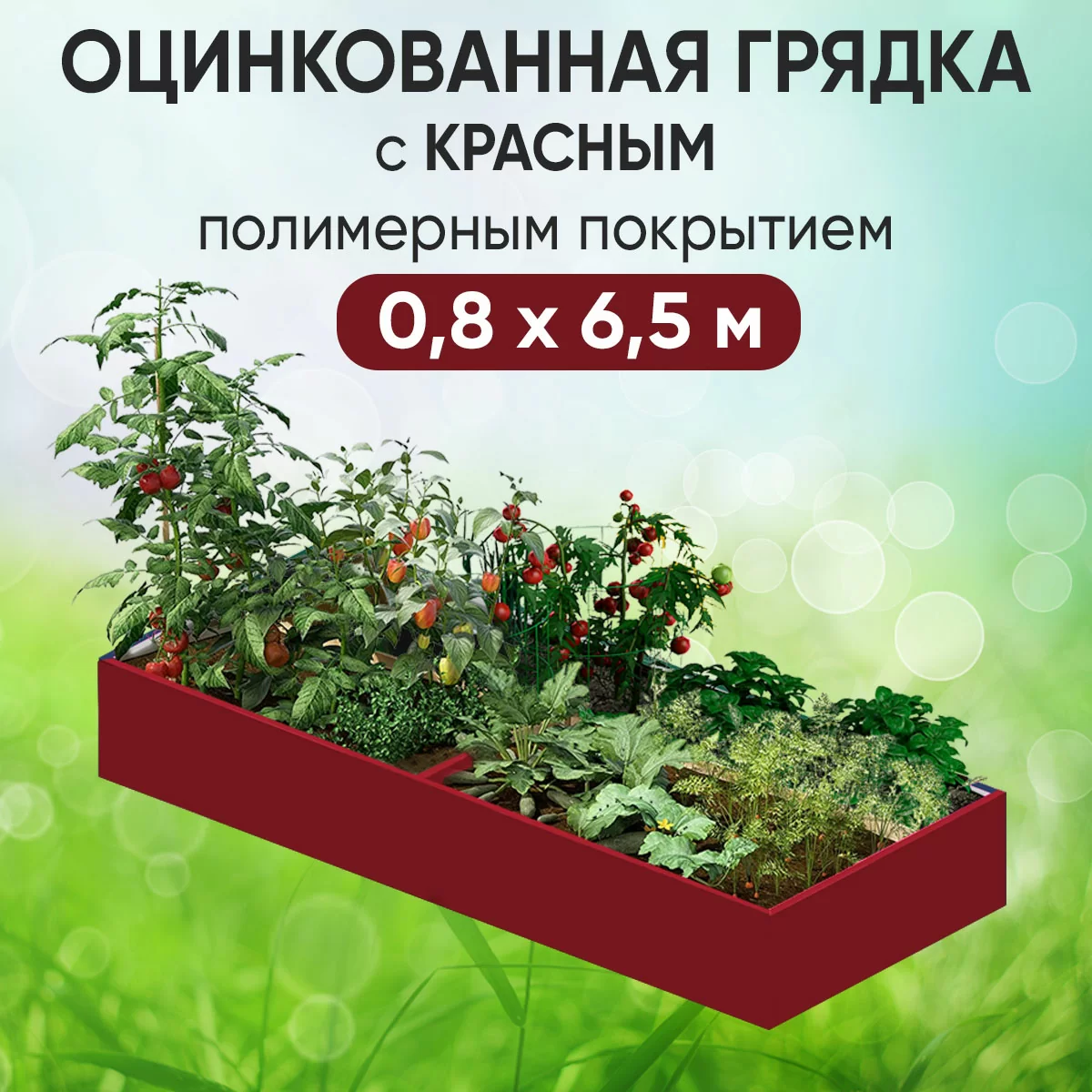 Грядка красная (0,8 х 6,5)