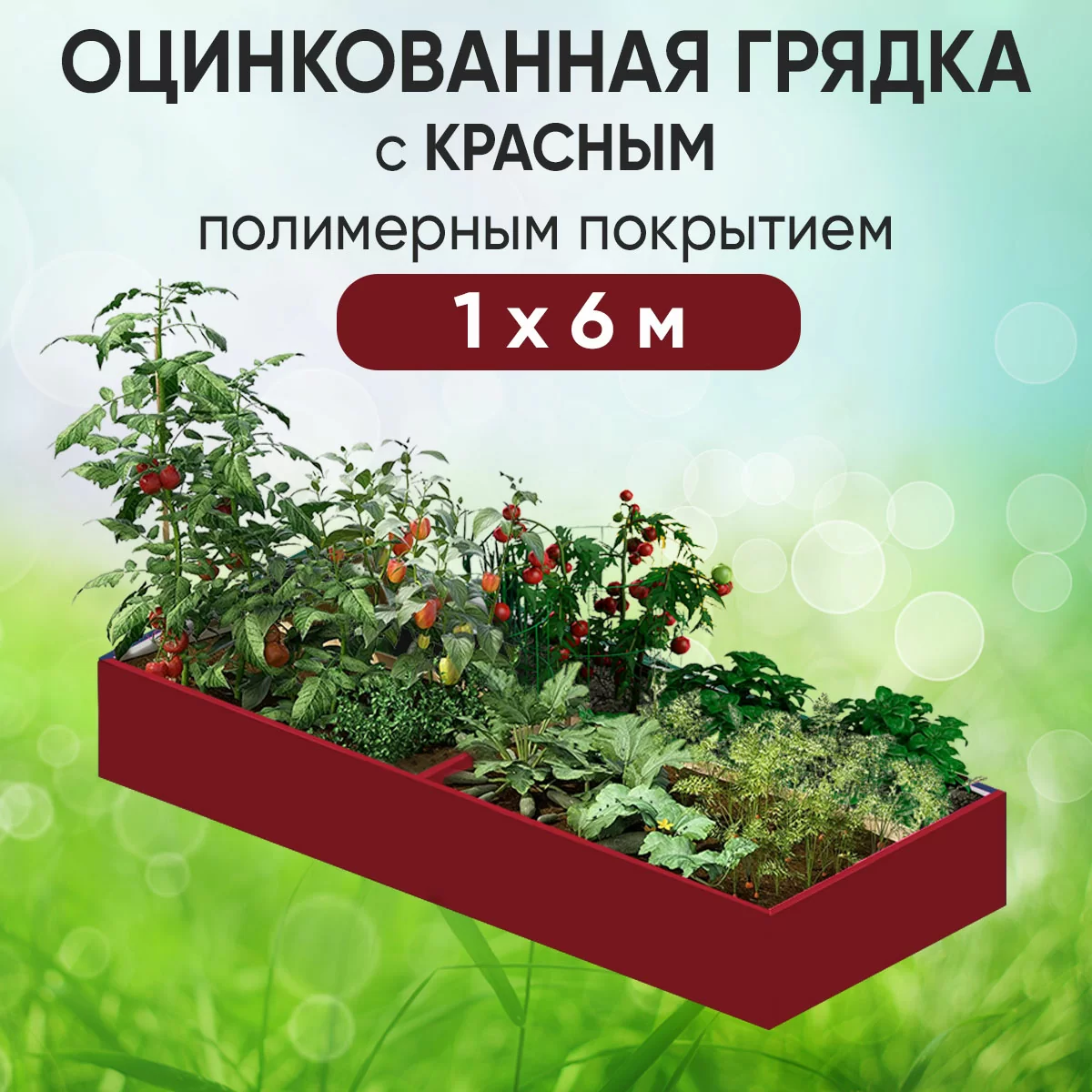 Грядка красная (1 х 6)